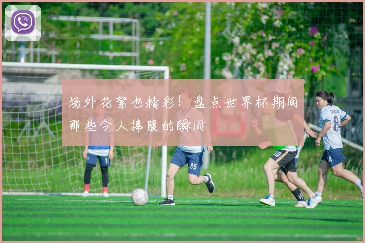 场外花絮也精彩！盘点世界杯期间那些令人捧腹的瞬间