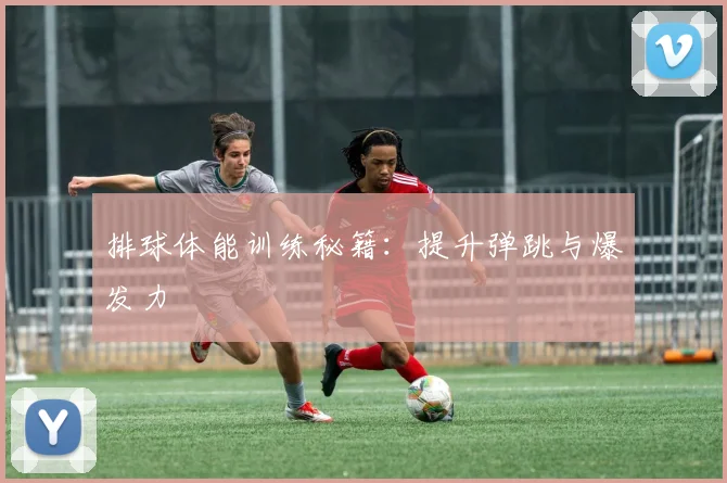 排球体能训练秘籍:提升弹跳与爆发力